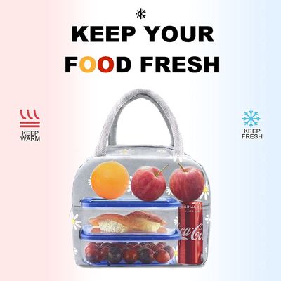 Dispositivo di raffreddamento Tote Lunch Bags Keep Food isolato sveglio fresco per il picnic della scuola di viaggio