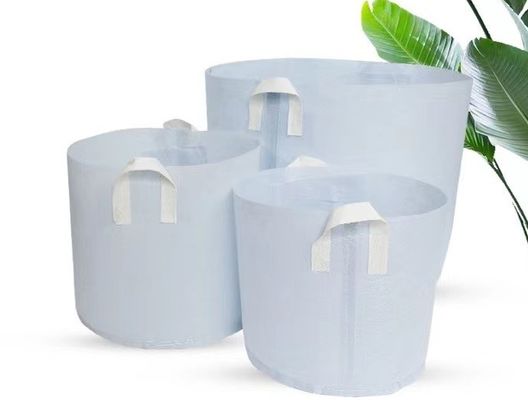 Personalizzi caldo vendendo non la borsa che biodegradabile della pianta del tessuto l'albero respirabile di flet coltiva la grande borsa della scuola materna della borsa con la maniglia